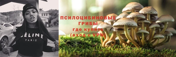 ешки Вяземский