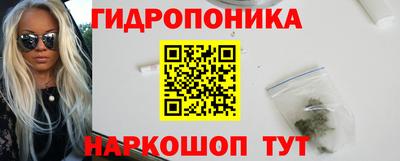 ALPHA PVP Гай