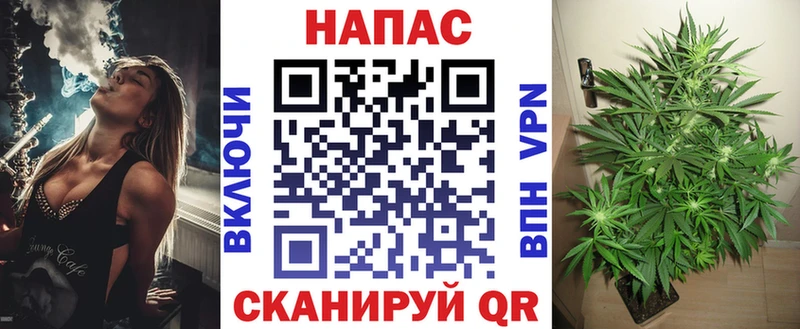 Шишки марихуана индика Ессентуки